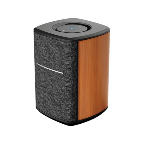 Smart Speakers